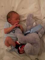 louis